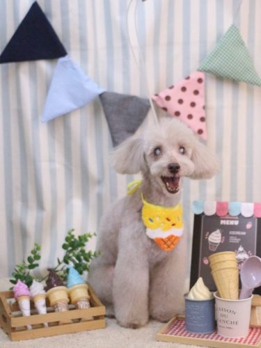 20250507ロンくん